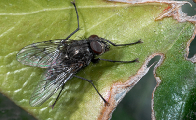 Richiesta lezione di ritocco